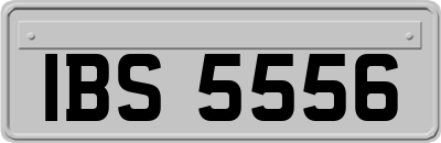 IBS5556