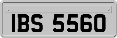 IBS5560