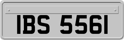 IBS5561