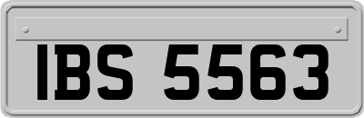 IBS5563