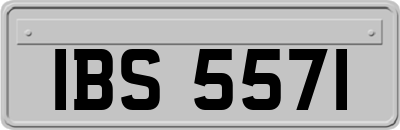 IBS5571