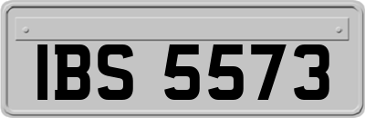IBS5573