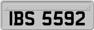 IBS5592
