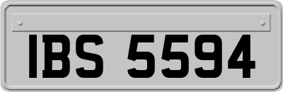 IBS5594