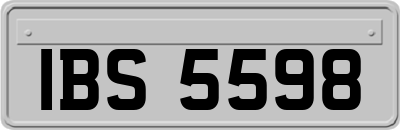 IBS5598