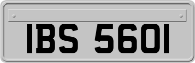 IBS5601
