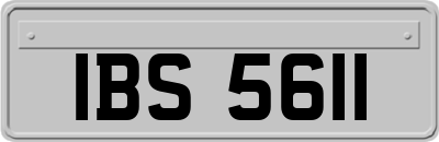 IBS5611