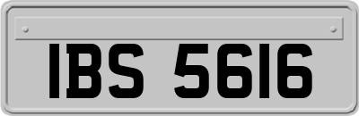 IBS5616
