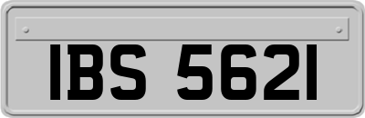 IBS5621