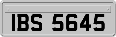 IBS5645