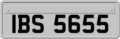 IBS5655
