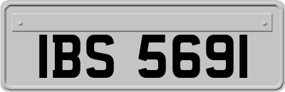 IBS5691