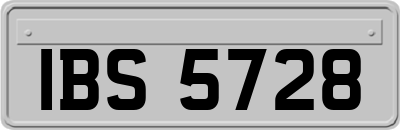 IBS5728