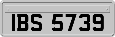 IBS5739