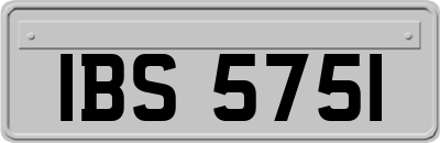 IBS5751