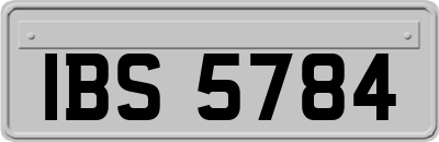 IBS5784