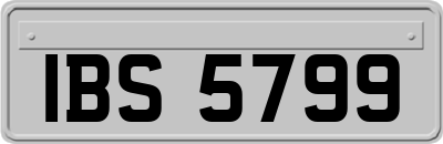 IBS5799