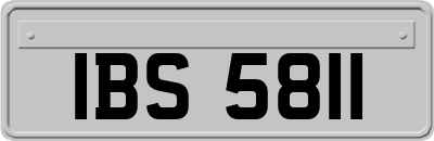 IBS5811