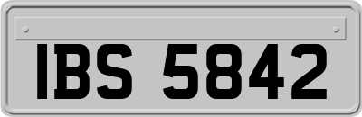 IBS5842