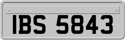 IBS5843