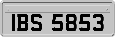 IBS5853