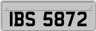 IBS5872