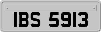 IBS5913