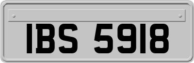 IBS5918