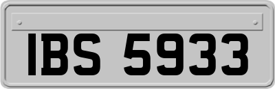 IBS5933