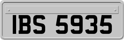 IBS5935
