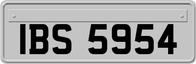 IBS5954