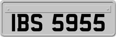 IBS5955