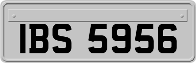 IBS5956