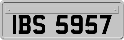 IBS5957