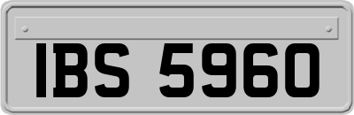 IBS5960