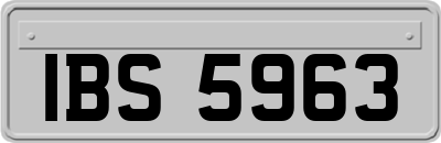 IBS5963