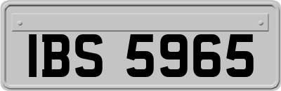 IBS5965