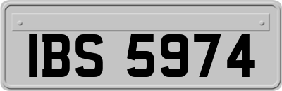 IBS5974