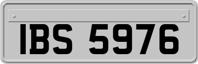 IBS5976