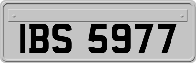 IBS5977
