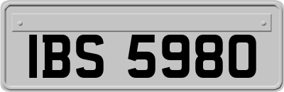 IBS5980