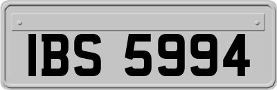 IBS5994