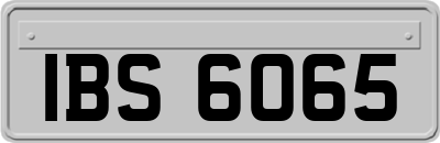 IBS6065