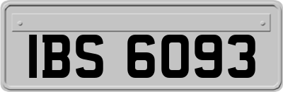 IBS6093