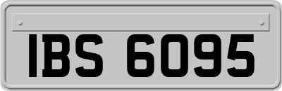 IBS6095