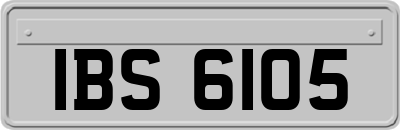 IBS6105