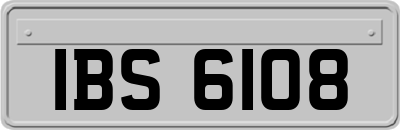 IBS6108