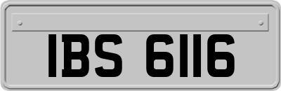 IBS6116