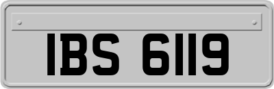 IBS6119