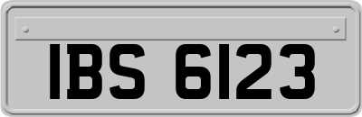IBS6123